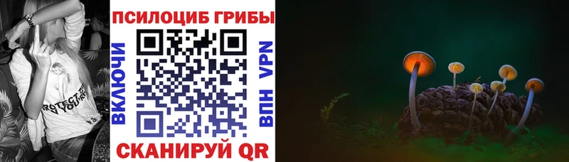 Галлюциногенные грибы Psilocybe Тогучин
