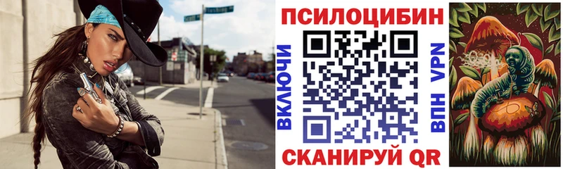 OMG ТОР  Тогучин  Галлюциногенные грибы Cubensis 